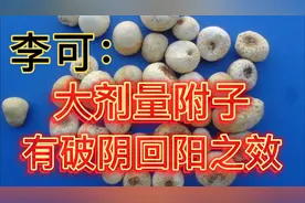李可老中医：大剂量附子，有破阴回阳之效视频封面