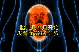 胎儿几个月开始发育面部五官呢？视频封面