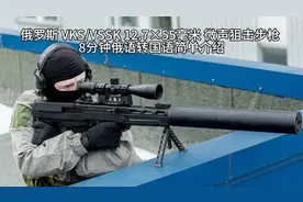 【国语 】俄罗斯 VKS/VSSK 12.7×55毫米 微声狙击步枪