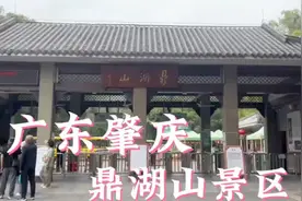 打卡广东肇庆鼎湖山景区，感受自然美景！视频封面