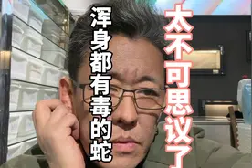 缅甸颈槽蛇浑身都有毒，太不可思议了视频封面
