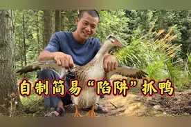 农村小伙自制简易“陷阱”抓鸭，整个过程遭到媳妇无情吐槽……