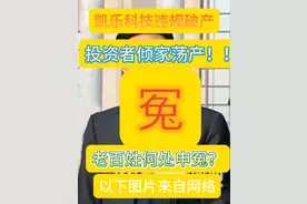 希望中纪委，证监会介入调查凯乐破产案件视频封面
