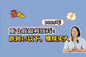 重仓股盈利技巧：2025跌到15以下，继续买入！📈💰视频封面