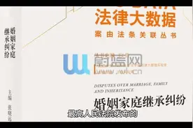 法律大数据：最高法院发布婚姻家庭继承纠纷案由条文解析视频封面