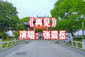 张震岳《再见》，我会牢牢记住你的脸，我会珍惜你给的思念