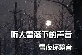 听大雪落下的声音 | 助眠安神环境背景白噪音视频封面