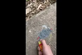 天空一声巨响，老秦闪亮登场视频封面