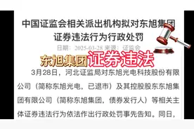 #东旭集团# 证券违规事件曝光！
