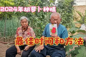 胡萝卜什么时候种合适？过早过晚都不好具体时间来了，学学吧视频封面