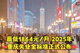 最低1864元/月 2025年重庆失业金标准正式公布视频封面