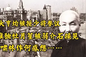 三大亨助清党有功，均被授少将参议，但为何蒋介石只接见了杜月笙视频封面