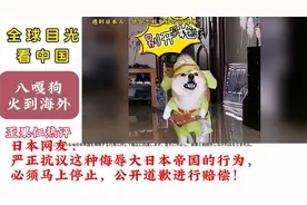 “八嘎狗”火到海外，日本人怒了！外网评价火热：这简直太视频封面