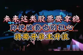 未来这类股票要拿稳，即使被套也别担心，即将开启主升浪！视频封面