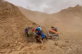 穷游捡到两只流浪狗虽然我给不了它们安稳的家但是能让它们吃饱视频封面
