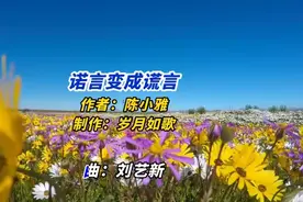陈小雅·一首《诺言变成谎言》完整版