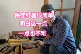 保存红薯很简单的事，只要明白这点，谁都能保存好，其它方法慎用视频封面
