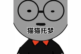 猫猫托梦视频封面
