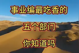 事业编最吃香的五个部门视频封面
