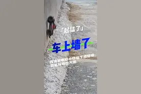 小怪兽V2下地实时第一感受 美嘉欣10208首玩简报