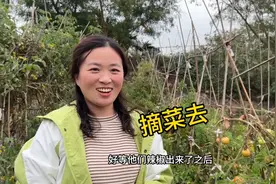 儿子生病好转，小娜心情大大舒展，跟卷毛一起去农场好好放松一下视频封面