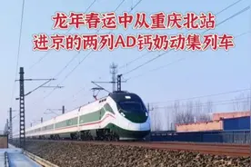 龙年春运中从重庆北站进京的两列AD钙奶动集列车视频封面