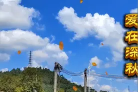 《爱在深秋》深秋，薄念，花不语，风却懂…视频封面