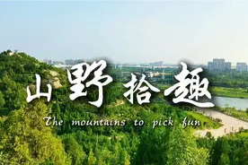 山野拾趣，拥抱自然，享受生活！视频封面