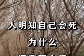人明明知道自己会死，为什么还要活着？