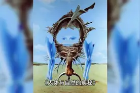 人体与自然的奥秘视频封面