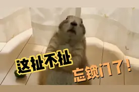 这扯不扯！出来忘锁门了！（搞笑视频配音）