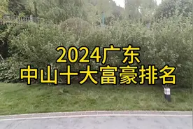 2024广东中山十大富豪排名视频封面