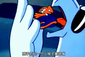 食猴鹰为给小弟报仇，竟搭上自己无赖一只耳只能去投奔舅舅吃猫鼠视频封面