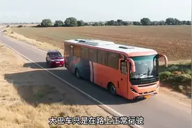 美女乘坐大巴车，却遭遇歹徒劫财又劫色！惊悚片《阿普尔瓦》 #视频封面