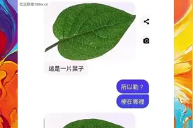 所以，梗在哪里？