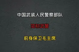 武警都做哪些工作，武警和警察有什么区别，武警是保卫毛主席。