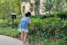 小区里遛娃，顺便遛珍珠鸟！凉爽的风，满目翠绿，美丽的大自然！
