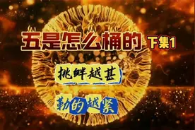 听风的蚕：详解2024B联合军演下集1视频封面