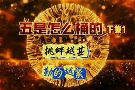 听风的蚕：详解2024B联合军演下集1