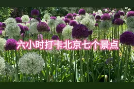 6小时打卡北京七个景点看看你喜欢哪个视频封面