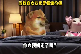 我只是索要我的情绪价值，集帅们谁懂啊 #cheems小剧场 #视频封面