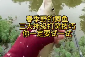 春季野钓做窝仅用三招，鲫鱼轻松上钩！你一定要试一试！