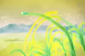 美浓客家民谣林生祥