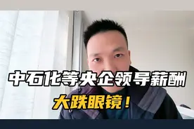 中石化，中海油等石油央企高层领导薪酬正式对外公布，符合预期吗视频封面