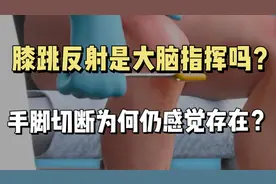 膝跳反射是大脑指挥的吗？手脚切断为何仍感觉存在？