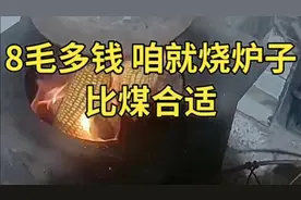 8毛多钱一斤的玉米，咋就烧炉子。对于网友的做法你怎么看？视频封面