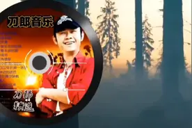 刀郎居然作词作曲这么多首歌。