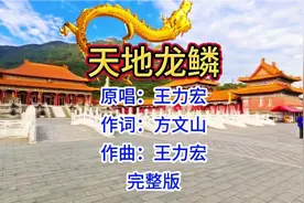 王力宏原唱网红歌《天地龙鳞》完整版，歌声铿锵有力，大气磅礴。
