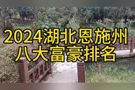 2024恩施州八大富豪排名视频封面