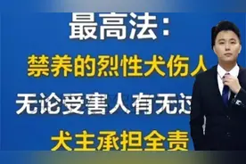 闹大了!最高法颁布新规，禁养烈性犬，一旦伤人咬人，狗主人全责视频封面